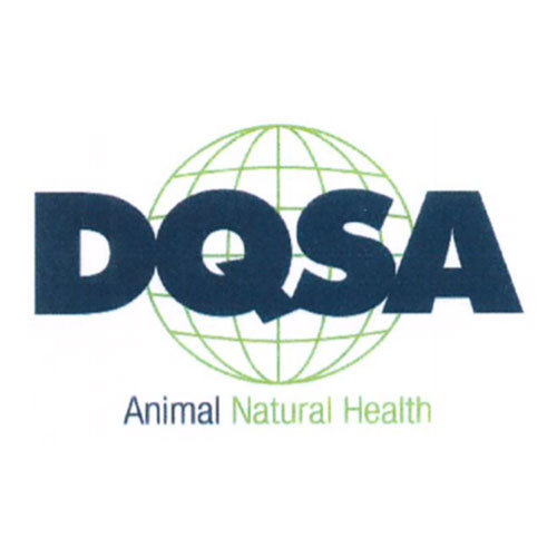 Desarrollo Químico Farmacéutico